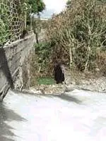 На заднем плане снимка точки Ор 2 не забор а те самые наращенные стены - фото 398