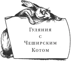 Гуляния с Чеширским Котом Завтра в семь часов совершится странное явление - фото 2