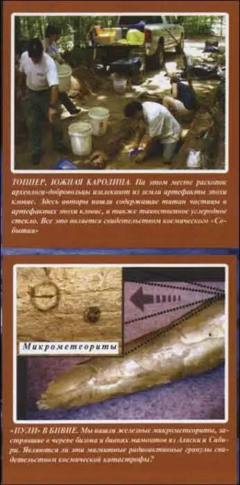 ПОСЛЕДСТВИЯ ВЫМИРАНИЯ Когда люди используют термин вымирание это означает - фото 45