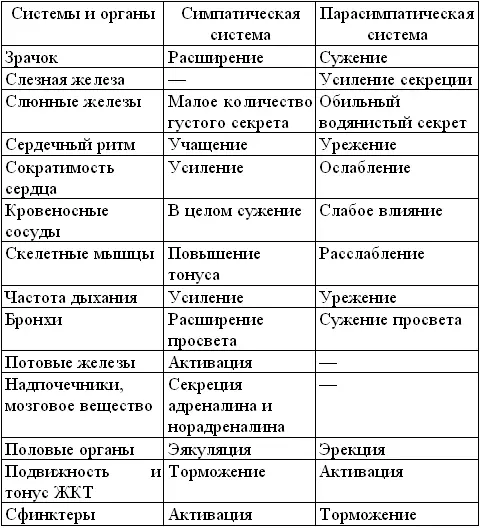 Таким образом в нашем организме создана удивительная система регуляции работы - фото 1
