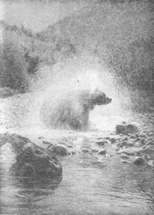 Утренний туалет фотоснимок А Миссюры Ранним утром когда едва только - фото 11