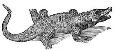 Крокодил полатыни crocodilus огромный уродливый и жестокий зверь который - фото 8