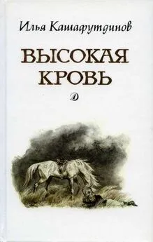 Ильгиз Кашафутдинов - Высокая кровь