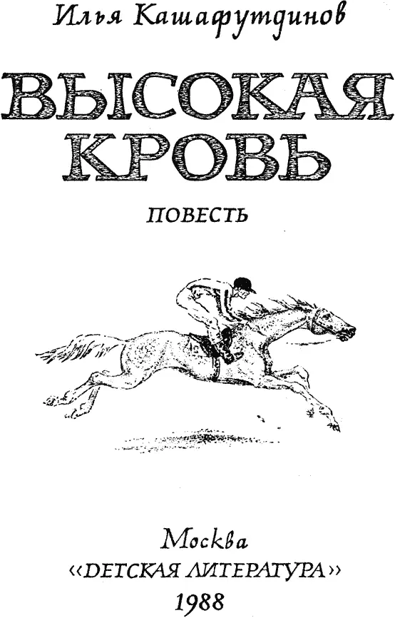 Об этой книге Мне приятно сказать несколько слов об Илье Кашафутдинове и его - фото 4