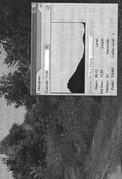 Рис 917 Излишне выдержанное изображение и панель Histogram для него Панель - фото 63