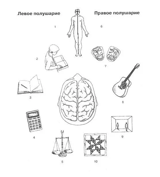 1 Контролирует правую сторону тела 2 Понимание речи чтение речь 3 - фото 4