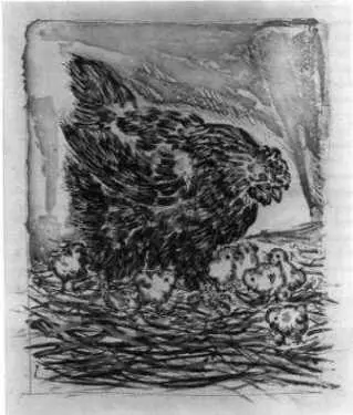 11 Пабло Пикассо Наседка с цыплятами 19411942 Иллюстрация к Естественной - фото 11