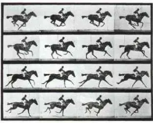 14 Эдуард Мэйбридж Движение галопирующей лошади 1872 Последовательность - фото 14