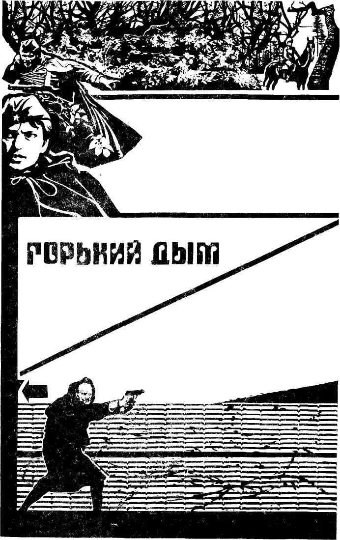ОТ АВТОРА Имеется целый ряд радиостанций финансируемых империалистическими - фото 9
