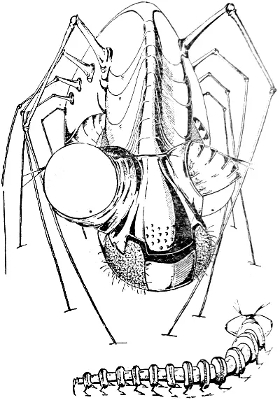8 Паукомонстр Размером не превышает обычного мохнатого паука Отличается - фото 100