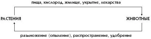 Прогулка к озеру Цель активизировать представление детей о водоеме как - фото 14