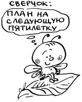 Процессник и результатник Люди делятся на взрослых и детей А еще на - фото 62