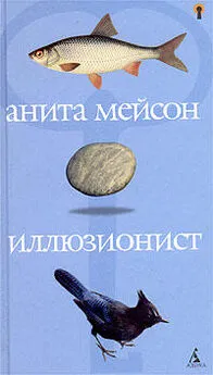 Анита Мейсон - Иллюзионист