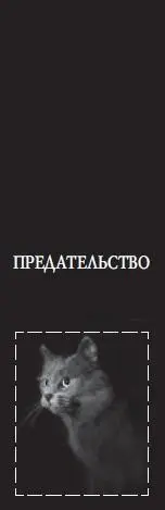 Предательство Его схватили с силой за загривок и швырнули в раскрытую пасть - фото 7