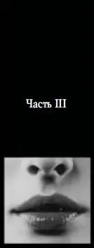 Часть III Глава 1 1 Прошло лето Потом дождливая осень Половина зимы - фото 15