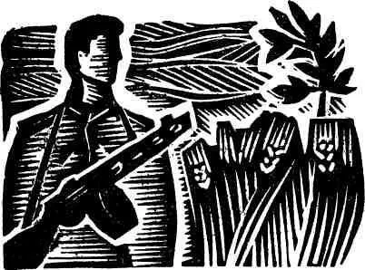 В Бродовском районе на Львовщине в 1944 году начал свой трудный и сложный путь - фото 21