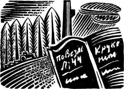 Чекисты особенно оперативники не ведут дневников Подполковник Иван Романович - фото 23