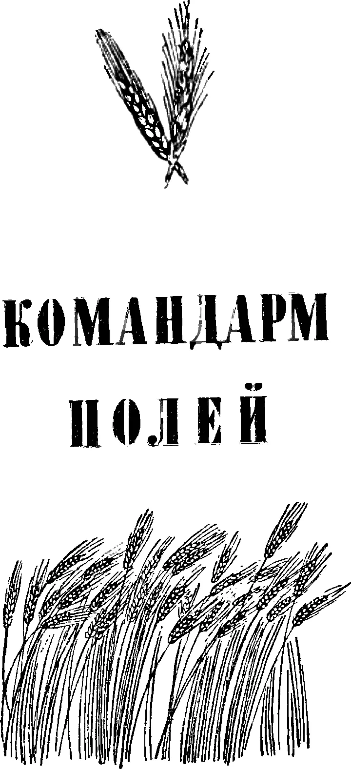 КОМАНДАРМ ПОЛЕЙ ОТКРЫТИЕ ЯРОВИЗАЦИИ На полке прибитой возле рабочего стола - фото 8