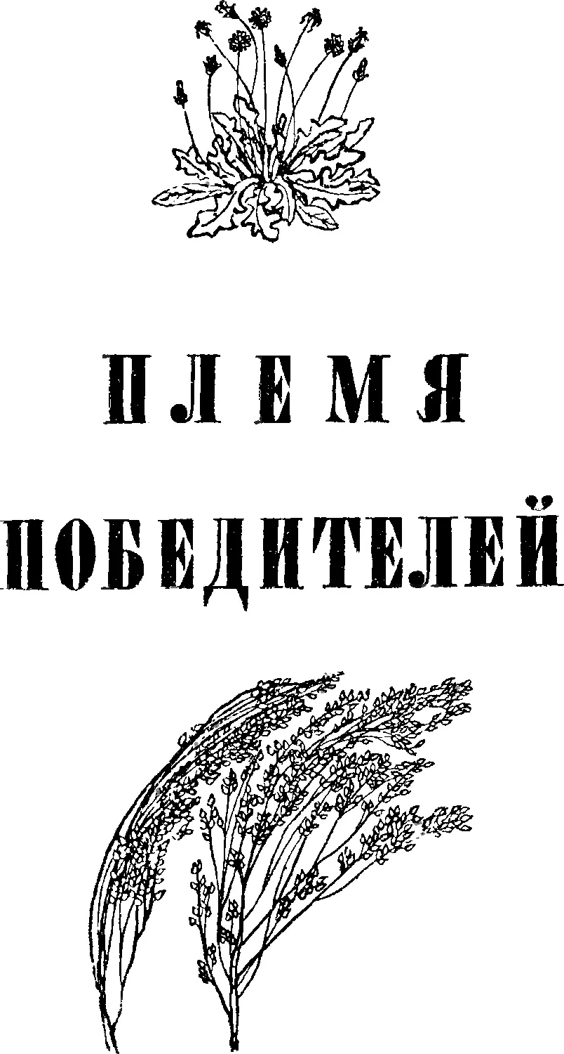 ПЛЕМЯ ПОБЕДИТЕЛЕЙ Бывает и так что новые пути науки и техники прокладывают - фото 10