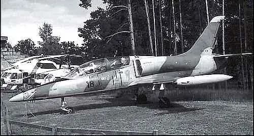 Легкие штурмовики чехословацкого производства L39 Albatros находились на - фото 265