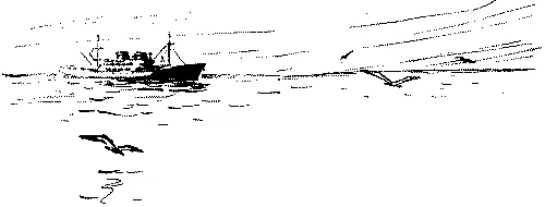 На корабле Лайнер Куин Мэри вышел в море НьюЙорк скрылся и на горизонте - фото 2
