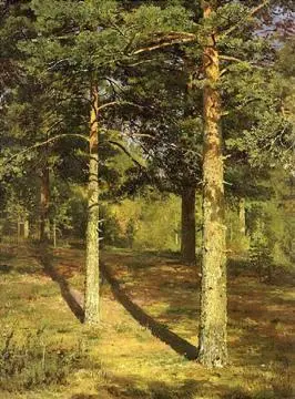 И И Шишкин Сосны освещенные солнцем Этюд 1886 ГТГ Однако Шишкин сам - фото 174