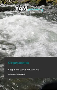 Галина Шкавронская - Стремнина