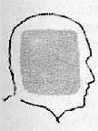 При виде сбоку голова славяноруса характеризуется четырьмя основными точками - фото 21