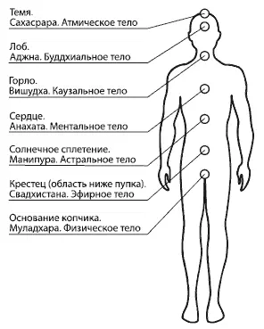 Рис 1 Проекция чакр на теле человека и их связь с тонкими телами Эта чакра - фото 12