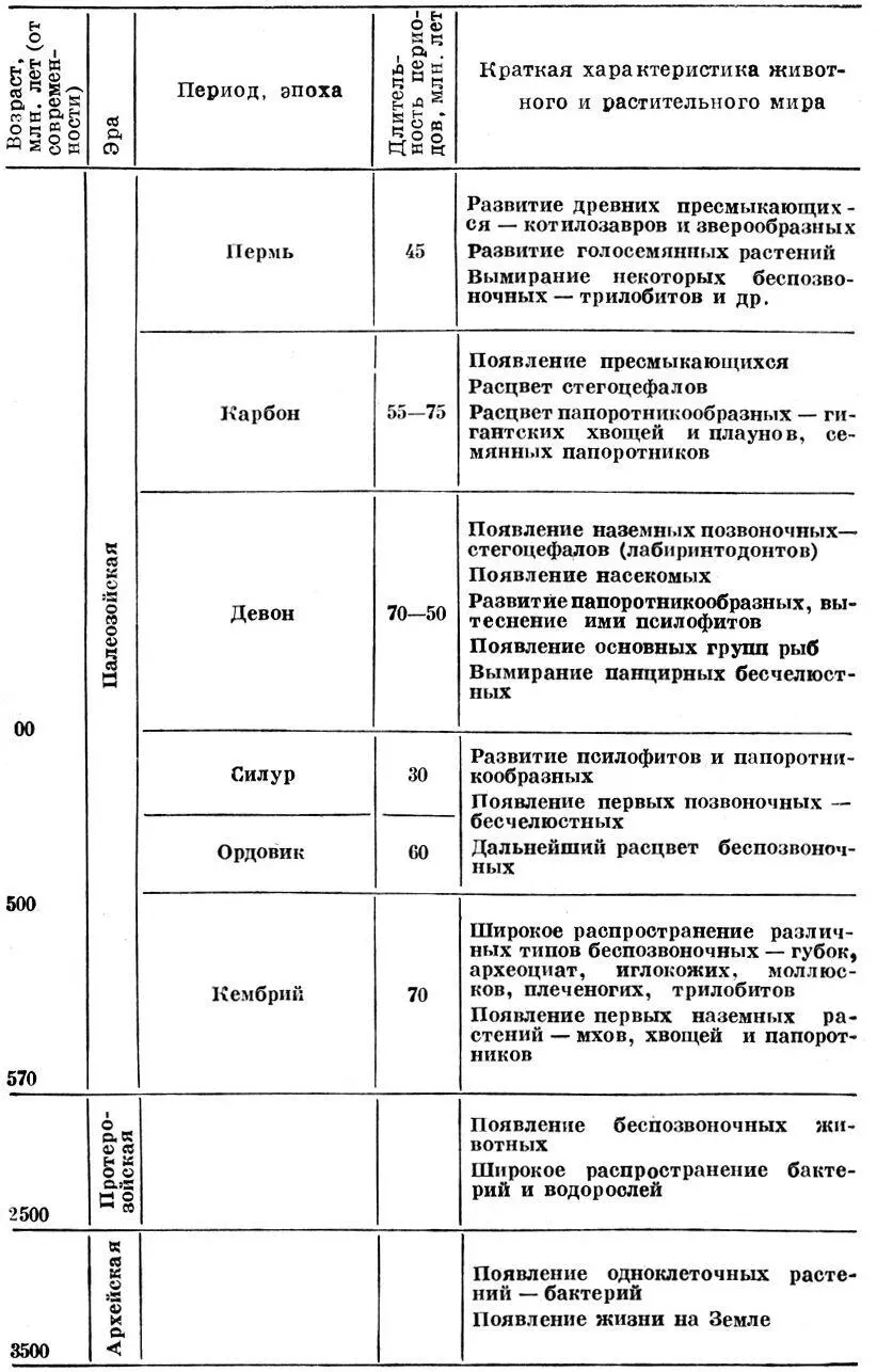 Таблица основных этапов жизни на Земле Всю историю жизни на Земле палеонтологи - фото 3