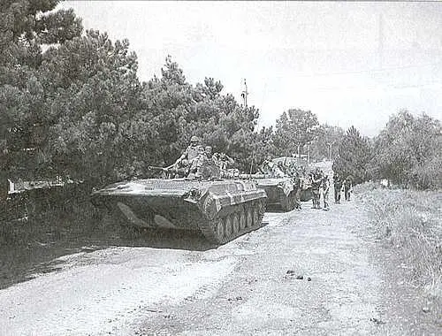 Российские войска в окрестностях Гори Фото Артема Драбкина - фото 14