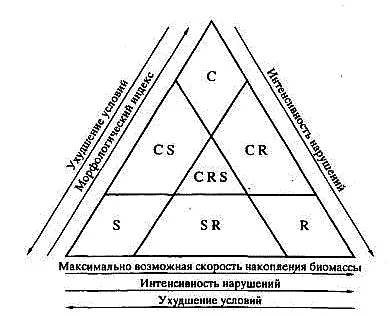 Рис 11 Треугольник Грайм Пояснения в тексте Эта система типов стратегий - фото 18