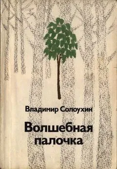 Владимир Солоухин - Волшебная палочка