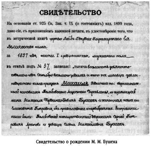 Отец Михаила Бушека родившийся в 1854 году умер на 44м году жизни а мать - фото 311