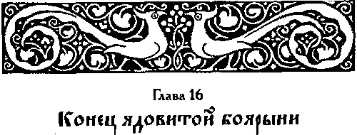 Ядовитая боярыня - изображение 48