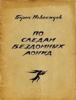 Борис Новосадов - По следам бездомных Аонид : Вторая тетрадь стихов