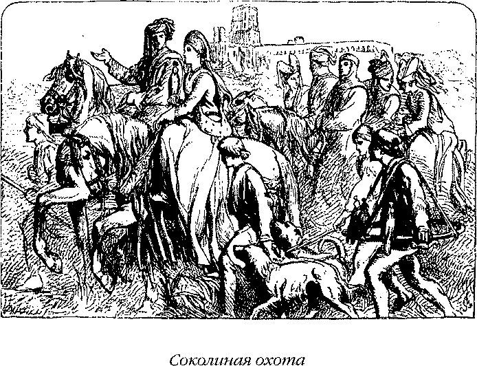 В те времена соколиная охота то есть ловля диких птиц с помощью обученных - фото 66