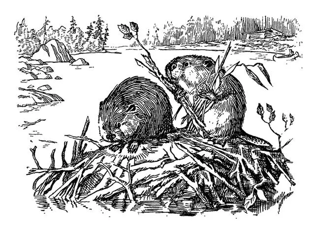 Саджо закричал он встревоженный они пропали Дети не на шутку - фото 10