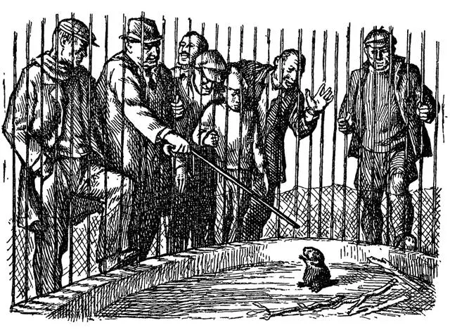 Он ни разу не увидел любимого лица и не услышал запаха маленькой ручки И - фото 16