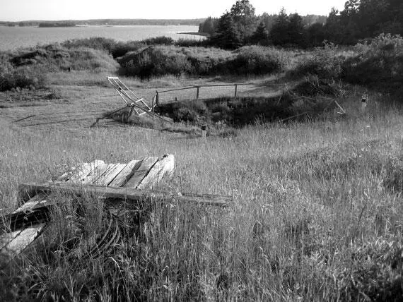 Денежный колодец на Дубовом острове Как бы там ни было присутствие - фото 24