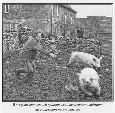 Глава 22 Книга Если бы они умели говорить хорошо - фото 47