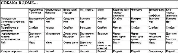 ДРУГИЕ ПОРОДЫ КОЛЛИ была выведена в Шотландии как узко специализированная - фото 4