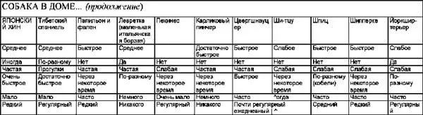 ДРУГИЕ ПОРОДЫ КОЛЛИ была выведена в Шотландии как узко специализированная - фото 5
