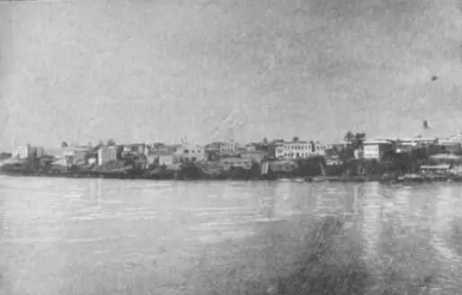 Вид на Момбасу из гавани Гавань была заполнена арабскими доу 5 Доу - фото 3