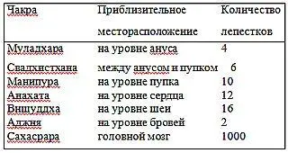 Таблица 22 Лепестки чакры и количество спинномозговых и черепных нервов - фото 4