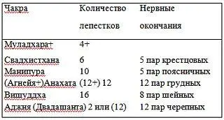 Таблица 23 Чакры и Первоэлементы 25 Функции праны Согласно Аюрведе при - фото 5