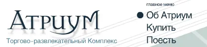 Описание торгового комплекса Атриум К счастью гайдлайнами можно - фото 279