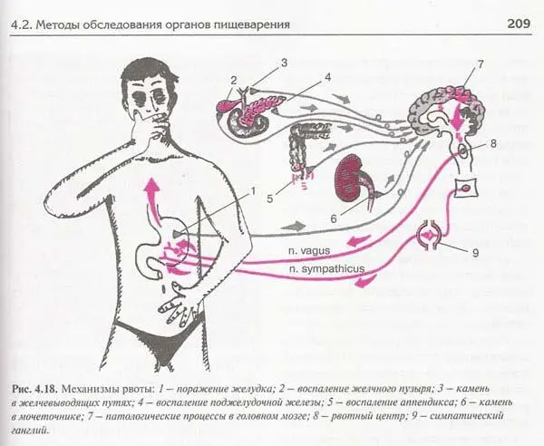 Интересно как поменяется восприятие когда эта иллюстрация будет считаться - фото 367