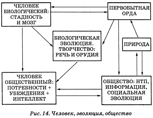 Стрелки показывают что эволюция шла с положительными обратными связями - фото 41