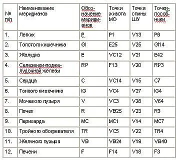 СИСТЕМА ТОЧЕК ПЕРЕСЕЧЕНИЯ МЕРИДИАНОВ Меридианы своими ответвлениями - фото 20
